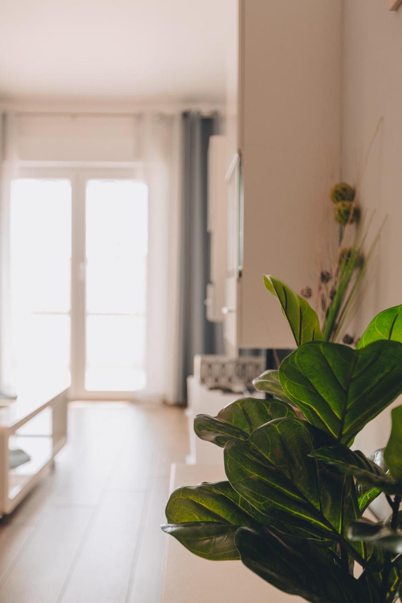 קרק Apartment Neda מראה חיצוני תמונה